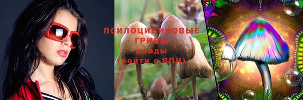 2c-b Богданович